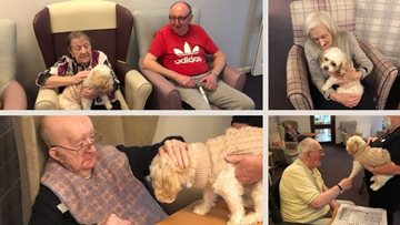 Pet therapy at The Village care home